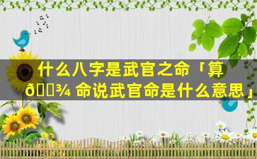 什么八字是武官之命「算 🌾 命说武官命是什么意思」